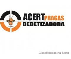 DEDETIZADORA NO CASTELÂO ACERTPRAGAS (85) 3487-2101/98976-1385