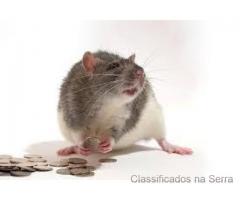 Online money spells ads in Netherlands usa uk Spiritual Rats amagundane sangoma +27634299958